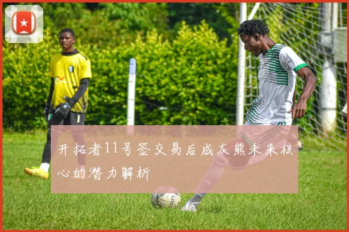 开拓者11号签交易后成灰熊未来核心的潜力解析
