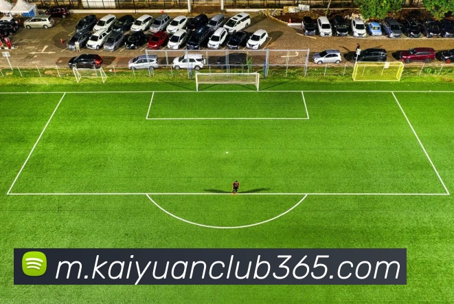 开元体育APP 高清赛事图